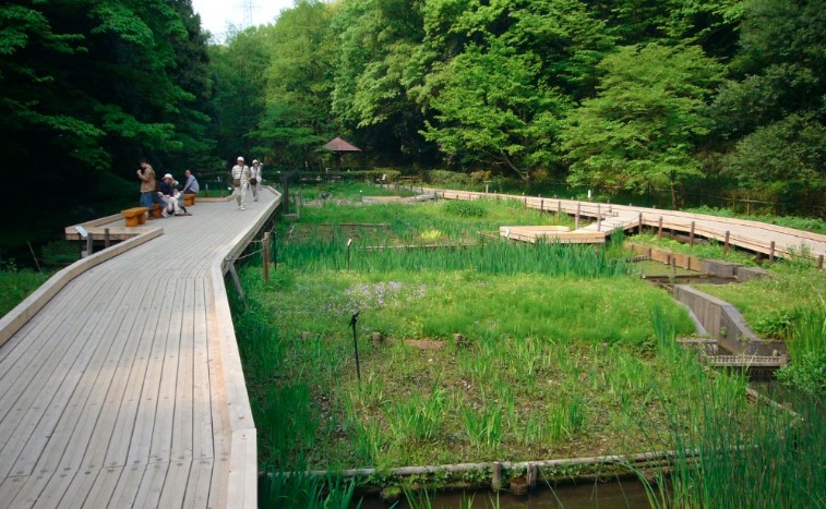 東高根森林公園（川崎市）