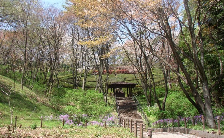 東高根森林公園（川崎市）