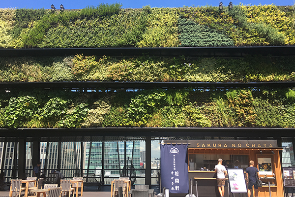 東急プラザ銀座「KIRIKO TERRACE」