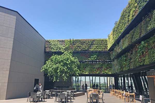 東急プラザ銀座「KIRIKO TERRACE」