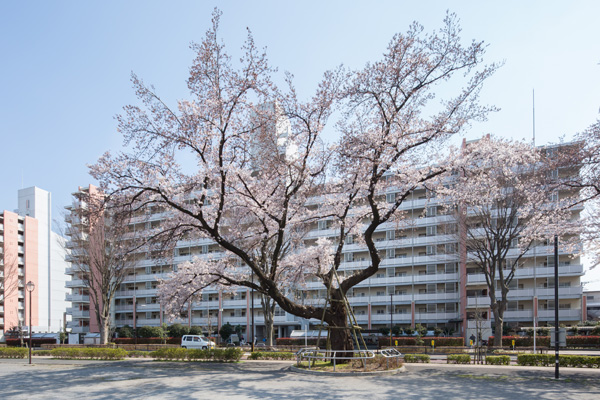 東大和向原3丁目団地