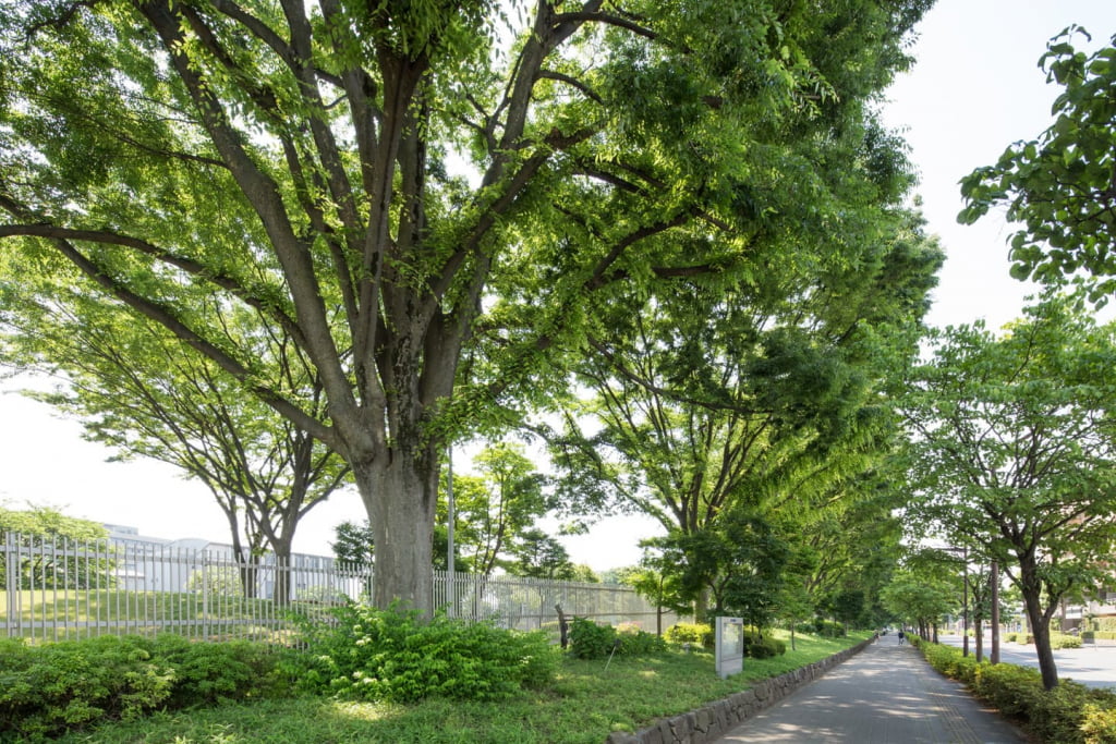 警視庁警察学校