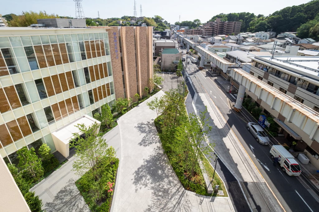 湘南鎌倉医療大学